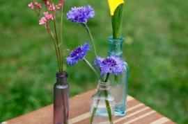 Mini Colored Glass Bottles
