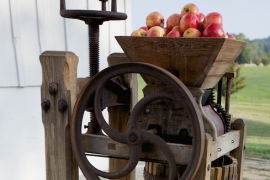 Antique Cider Press